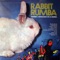 No Sé - Rabbit Rumba lyrics