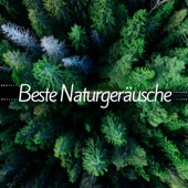 Beste Naturgeräusche: Heilung, Reiki, Spa, Massage, Therapie Musik, Gelassenheit artwork