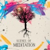 Scenes of Meditation