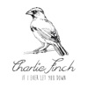 Charlie Finch - If I Ever Let You Down