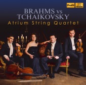 String Quartet No. 1 in D Major, Op. 11, TH 111: III. Scherzo. Allegro non tanto artwork