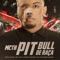 Pitbull de Raça - MC TH lyrics