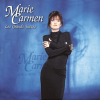 Marie Carmen - Entre l'ombre et la lumière artwork