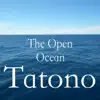 The Open Ocean album lyrics, reviews, download