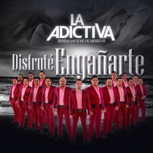 Disfruté Engañarte
