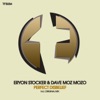 Eryon Stocker - Perfect Disbelief