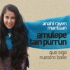 Amulepe Taiñ Purrun