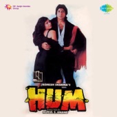 Ek Doosre Se Karte Hain Pyar Hum (Instrumental) artwork