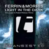 Light in the Dark (Remix) - Single album lyrics, reviews, download