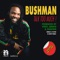 Talk Too Much (feat. Bushman) - Vinyl Junkie & Sanxion lyrics
