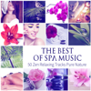 The Best of Spa Music: 50 Relaxing Tracks Pure Nature, Healing, Inner Peace, Total Relaxation, Ultimate Wellness Center Sounds, Sleep & Massage - Tranquility Spa Universe
