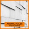 New World Order Ii - Atomic Pulse lyrics