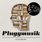 Pluggmusik artwork