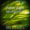 New Age Relaxation: 50 Natural Healing Songs and Reflection Meditation Music, Breathing and Calmness Zen Yoga album lyrics, reviews, download