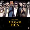 Non Stop Punjabi Hits, 2016