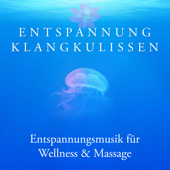 Entspannung Klangkulissen: Spa Musik Regeneration, Entspannungsmusik für Wellness & Massage, Tiefenentspannung & Meditation - Shades of Wellness & Gelassenheit Akademie