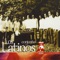 Corazón No Llores - Conjunto Los Latinos lyrics