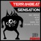 Sensation - Terra4Beat lyrics