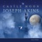 A Nocturnal Waltz - Joseph Akins lyrics