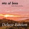 Stuck in the Middle - Sea of Bees lyrics