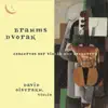 Brahms & Dvořák: Violin Concertos album lyrics, reviews, download