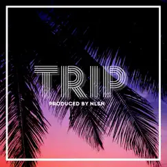Trip (feat. NLSN) - Single by Bkk album reviews, ratings, credits