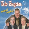 Trio Eugster - Turnverein-Schottisch