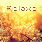 Relaxe - Relaxar a Mente con Música New Age, Músicas Instrumentais para Meditação, Pensamento Positivo, Bem Estar e Serenidade artwork