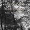 Soul Purpose (Yury Atomic Remix) - Anton Seim lyrics
