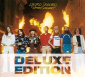 Lynyrd Skynyrd - Honky Tonk Night Time Man