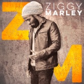 Ziggy Marley - Start It Up