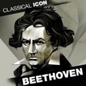 Classical Icon: Beethoven artwork