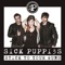 Stick to Your Guns - Sick Puppies lyrics