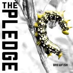 The Pledge - EP by Brewfish album reviews, ratings, credits