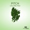 Calling You - Pitch lyrics