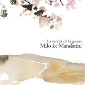 Milo Ke Mandarini - Cantharellus