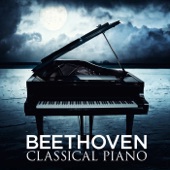 Piano Concerto No. 4 in G, Op. 58: I. Allegro moderato artwork