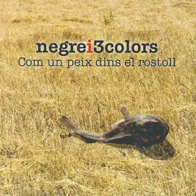 Com Un Peix Dins El Rostoll - EP - Negrei3colors