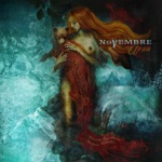 Novembre - Australis