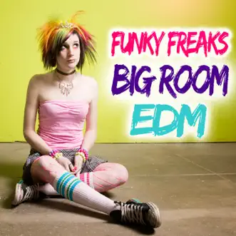 Funky Freaks Big Room EDM by Various Artists album reviews, ratings, credits