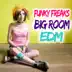 Funky Freaks Big Room EDM album cover