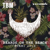 The Bearded Man - Beards On the Beach (Miami 2016) artwork
