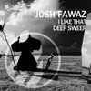 Josh Fawaz - Deep Sweep