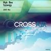 Synergy (2015 Mix) - Single