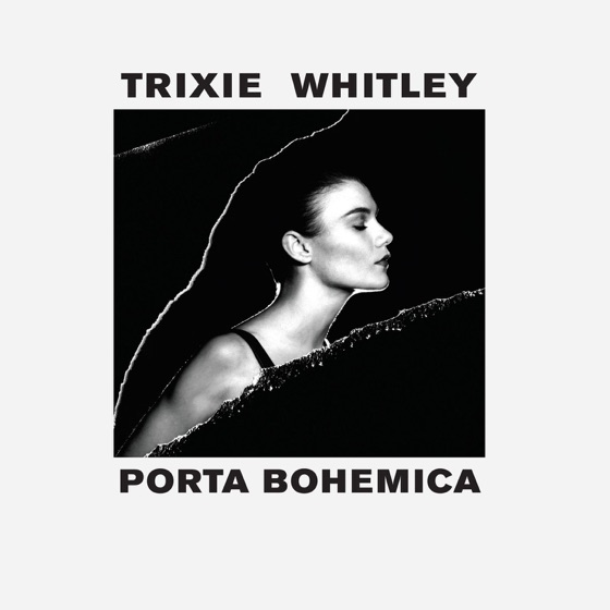 Cover artwork for The Visitor