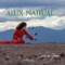 1.9 Ank - Alux Nahual lyrics