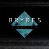 BRYDES - Gila Bones