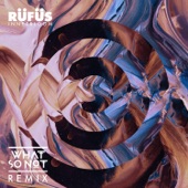 Innerbloom (What So Not Remix) by RÜFÜS DU SOL