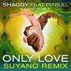 Only Love (feat. Pitbull & Gene Noble) [Suyano Remix] - Single, 2015