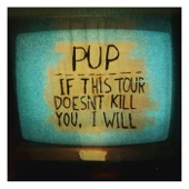 If This Tour Doesn't Kill You, I Will by Pup